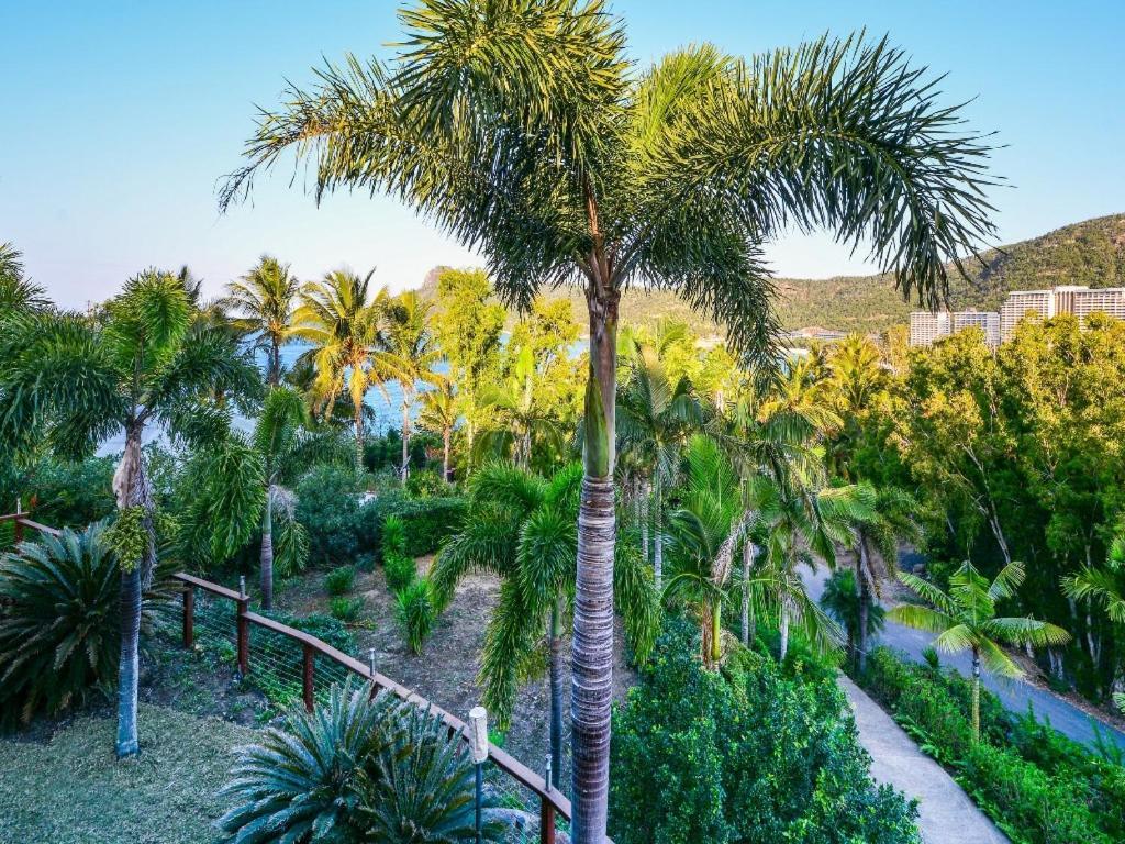 汉密尔顿岛上棕榈树度假屋 外观 照片